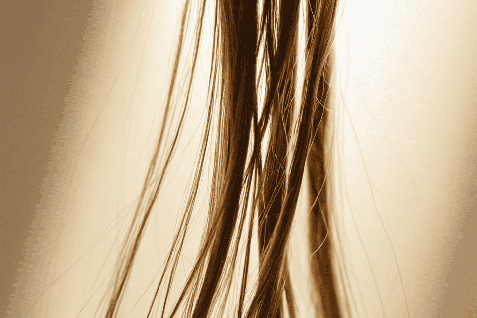 Hair Mineral Analysis (HTMA) testing